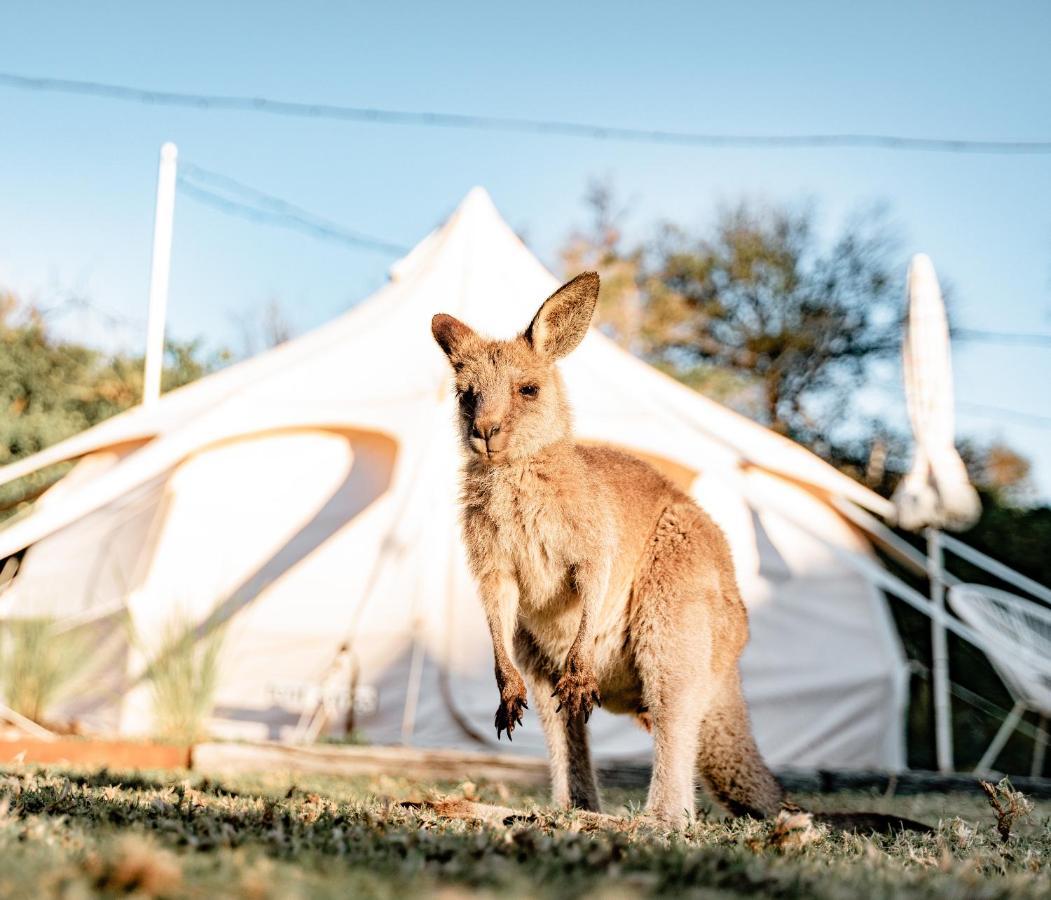 Вилла The Cove Jervis Bay Экстерьер фото