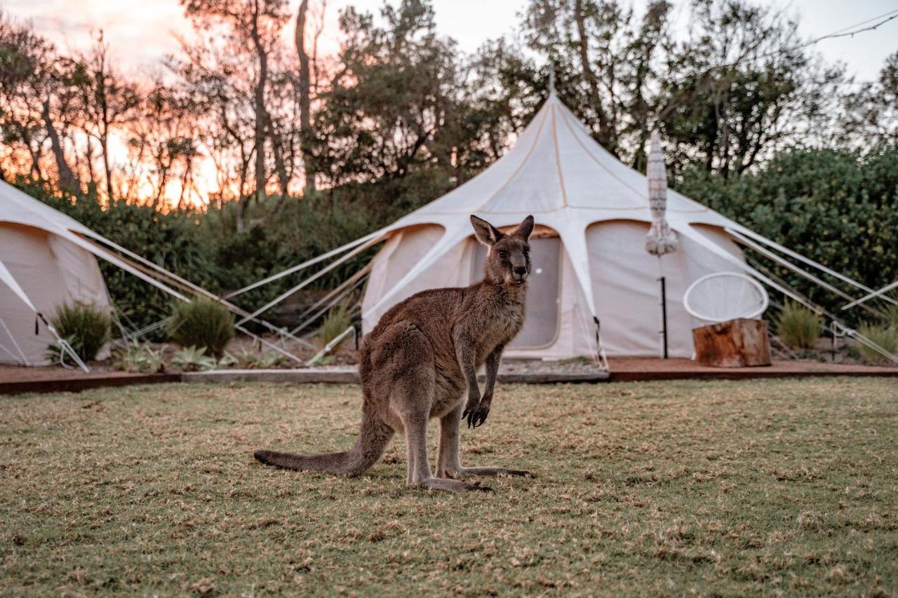 Вилла The Cove Jervis Bay Экстерьер фото