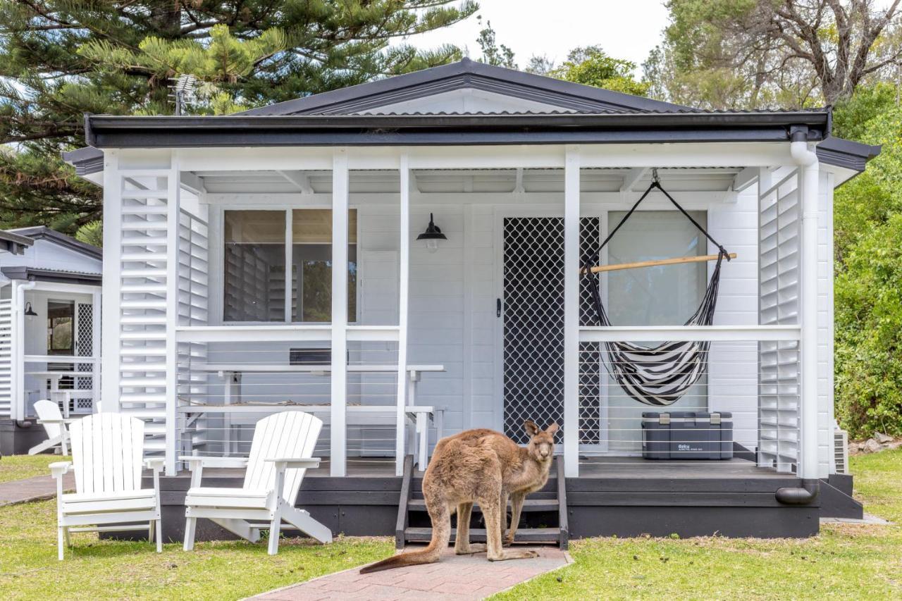 Вилла The Cove Jervis Bay Экстерьер фото